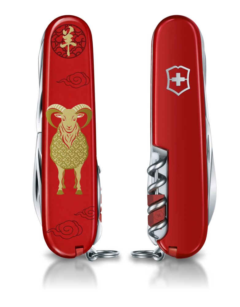 ROK KOZY 2